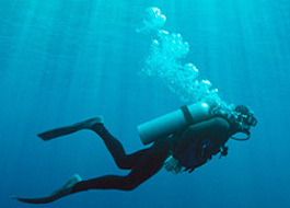 Snorkeling and Diving activities Kenya