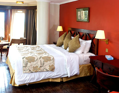 hotels in Nyeri, treetop lodge