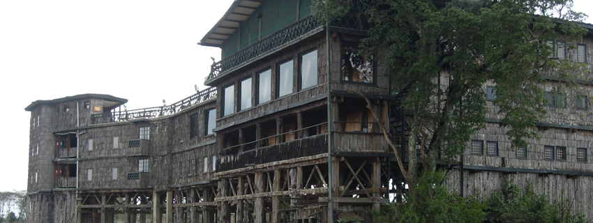 hotels in Kenya, treetop lodge