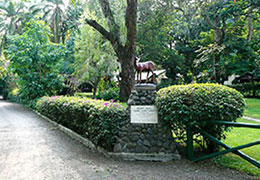  Hotels and Lodges in Arusha