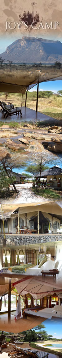 Honeymoon safari and beach holiday in Kenya
