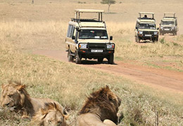 Group Tour in Kenya