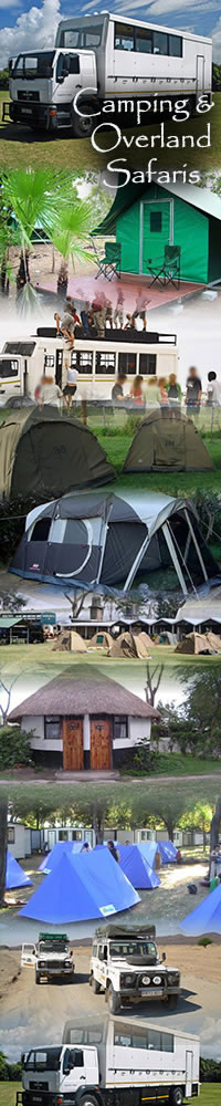 Camping safari holiday at Masai Mara
