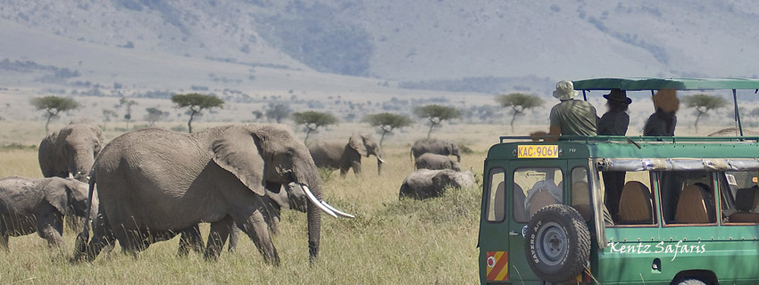 top safari honeymoon Kenya