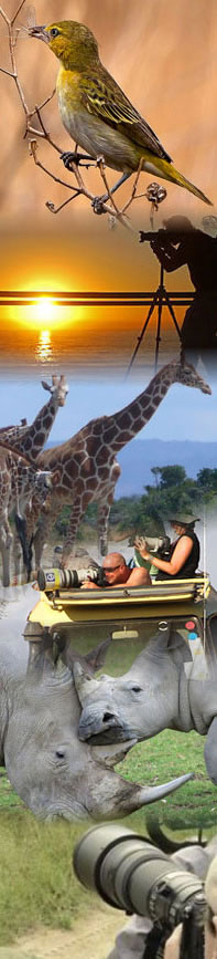Africa wildlife and Nature photography safari tours