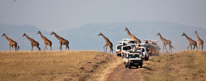 Safari photography workshops and trips in Africa