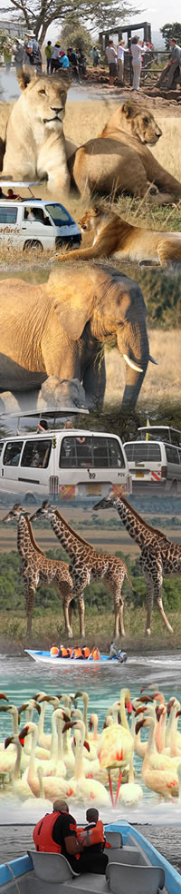 Family safari holiday in Kenya