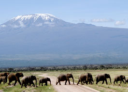 Attractions in Queen Elizabeth National park