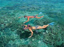 Zanzibar Diving and Snorkeling Tour