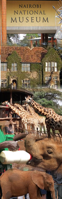 Museums in Nairobi, Kenya