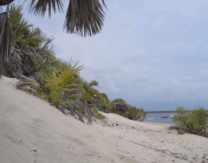 honeymoon on the beach Lamu