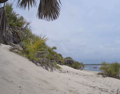 honeymoon on the beach in Tanzania