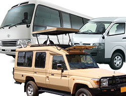 Car Hire and Rentals in Africa 