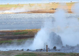 Lake Bogoria