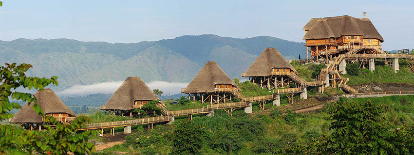 accommodation in Kibale national park