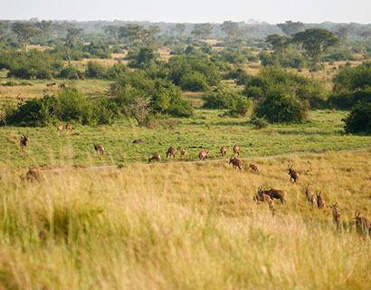 what to see at Queen Elizabeth national park