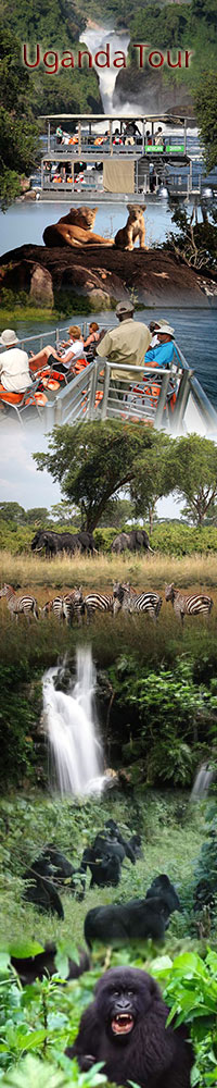 Safari holiday and tour of Uganda