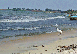 Lake Victoria Beaches 