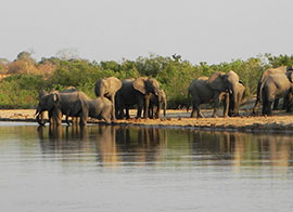 attractions in Selous Game Reserve