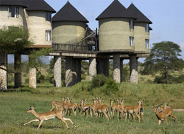 Salt Lick Lodge 