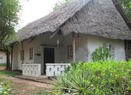 Coral Beach Cottages