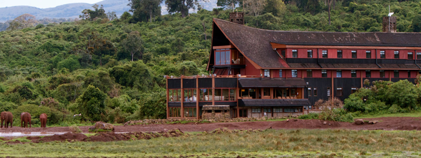 the Ark lodge gardens