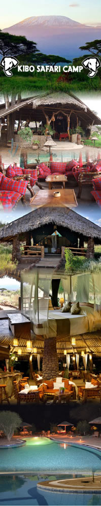 Safari Hotels in Amboseli,Kibo Safari Camp