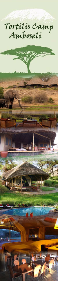 Safari Hotels in Amboseli, Tortilis Camp
