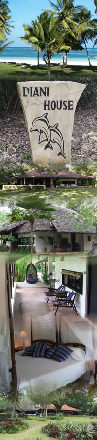 Hotels in Diani Beach,Diani house