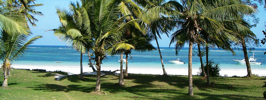 honeymoon beach house,Diani House 