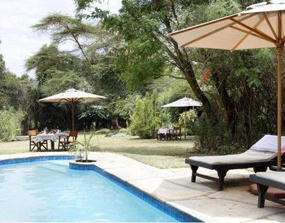 Ngong House swimming pool area