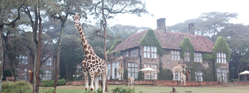 hotels in Nairobi, Giraffe manor
