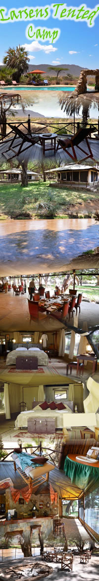  Safari Hotels in Samburu, Larsen's Camp