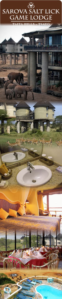 safari camps and lodges in Tsavo, Sarova Salt Lick