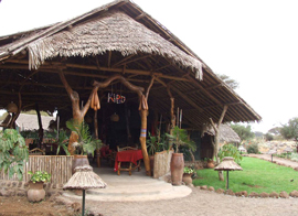 Kibo Safari Camp