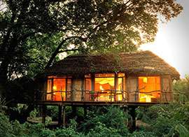 Tanzania Safari honeymoon resorts and hotels