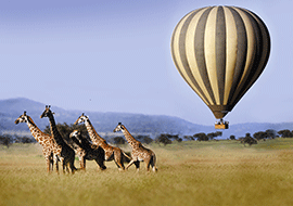 Family Holidays in Tanzania