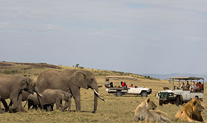 Kenya Group Tours