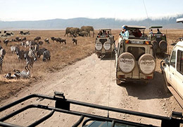 Tanzania Group Tours