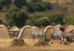Masai Mara Camping Safari