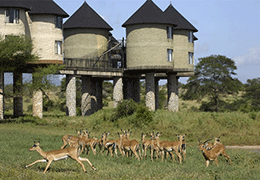 Tsavo Safari Holiday