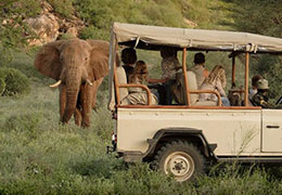 Special Holiday on Safari