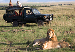 Safari & Beach Honeymoon