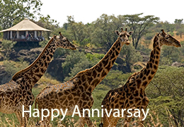 10 days wedding safari and Beach Honeymoon in Kenya