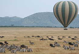 Hot Air Balloon Flight