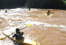 Kayaking & Canoeing