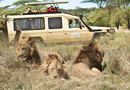 11 Days Family Safari Holiday