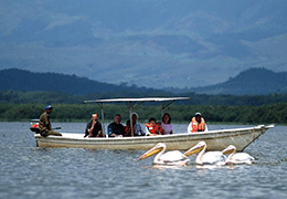 Family Safari Holiday