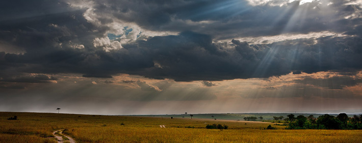  Masai mara honeymoon