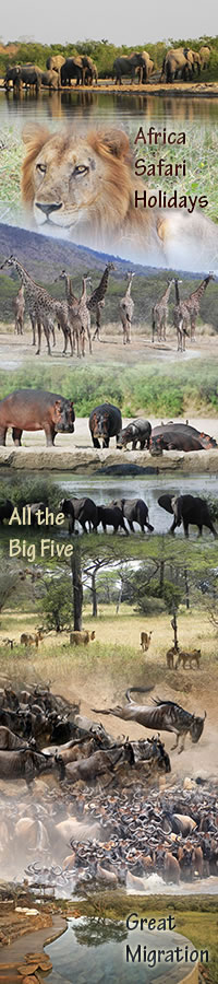  Tour of Arusha National Park